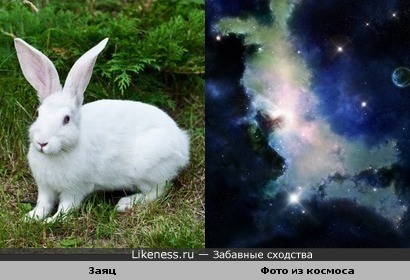 на этом фото из космоса мне привиделся зайка))))))))))