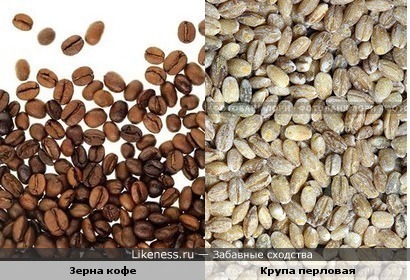 зерна кофе и перловой крупы похожи)