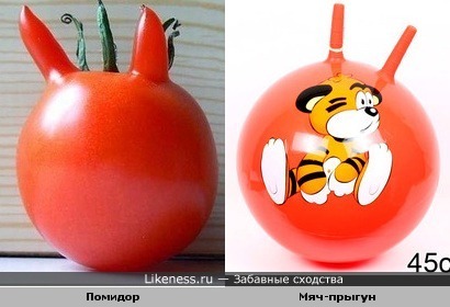 помидор похож на мяч-прыгун