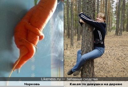 морковь похожа на человека)))