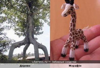 дерево похоже на жирафика))