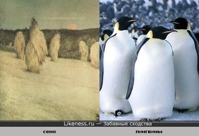 картина и пингвины
