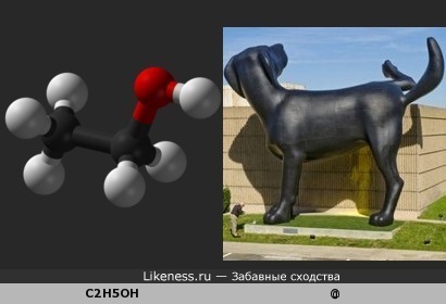Молекула этилового спирта похожа на собаку