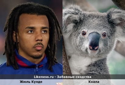 Жюль Кунде напоминает Коалу