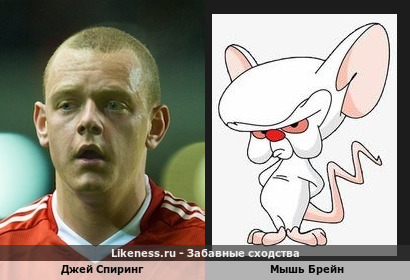 Джей Спиринг похож на Мышь Брейн