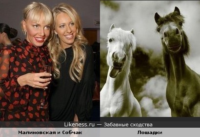 две лошади)))