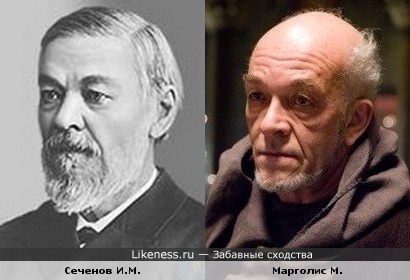Сеченов Иван Михайлович похож на Марка Марголиса