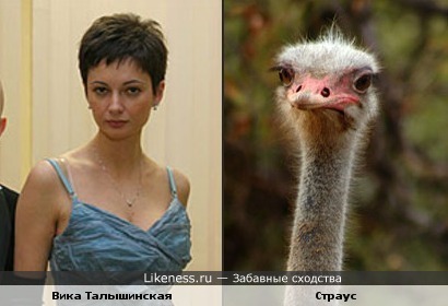 Вика Талышинская (Непара) похожа на страуса
