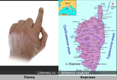 Палец и остров Корсика