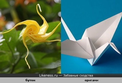 Цветок-оригами