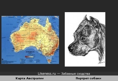 Карта Австралии с детства напоминает мне морду собаки.