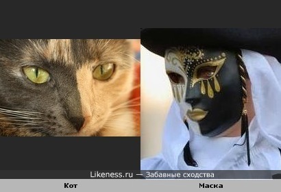&quot;Карнавальный&quot; кот