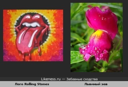 Это изображение логотипа The Rolling Stones напомнило цветок львиный зев