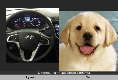 Этот руль напоминает улыбающуюся собаку