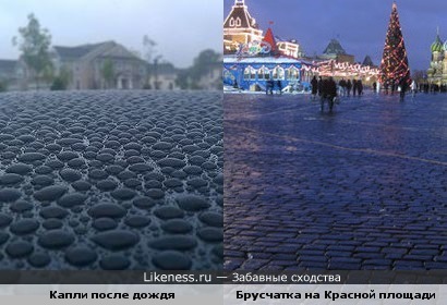 Капли после дождя напомнили брусчатку на Красной площади