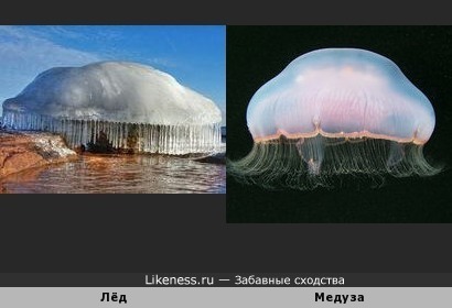 Причудливая льдина на фото напоминает медузу