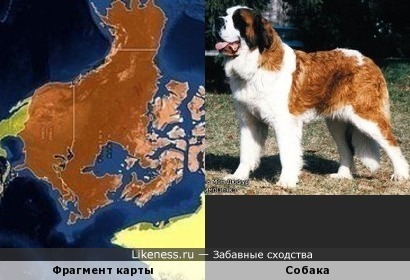 Фрагмент карты напоминает собаку