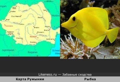 Карта Румынии похожа на рыбку