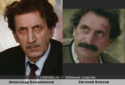 Александр Бениаминов похож на Евгения Князева