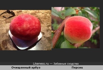 Превращение арбуза в персик