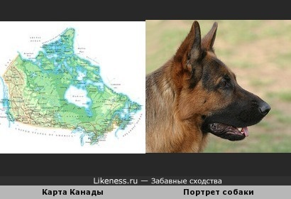 Ещё один портрет собаки на карте мира