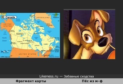 Фрагмент карты и пёс из мультфильма
