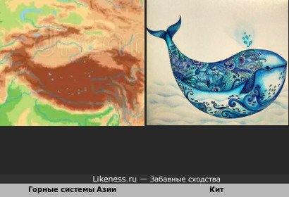 Горные системы Азии напоминают кита