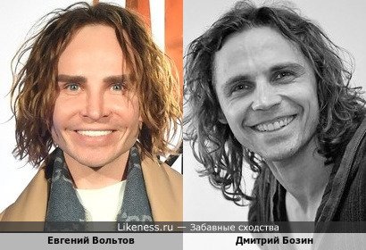 Евгений Вольтов похож на Дмитрия Бозина