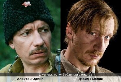 Алексей Одинг похож на Дэвида Тьюлиса