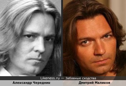 Александр Чередник похож на Дмитрия Маликова