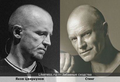 Яков Цвиркунов и Стинг