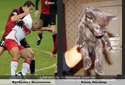 Футболист похож на котенка