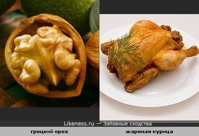 Грецкий орех похож на жареную курочку