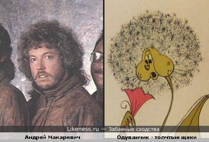 Андрей Макаревич (в старом имидже) похож на Одувачика - толстые щеки