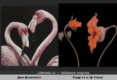 Два фламинго напомнили кадр из к/ф Стена группы Пинк Флойд