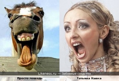 Татьяна Навка и обычная лошадь