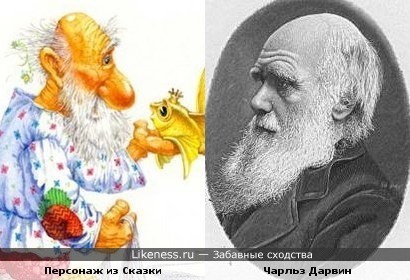 Старик из сказки о золотой рыбке и Чарльз Дарвин