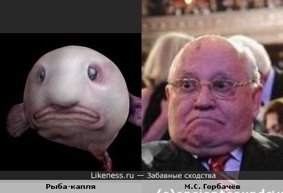 Михаил Горбачёв и рыба-капля