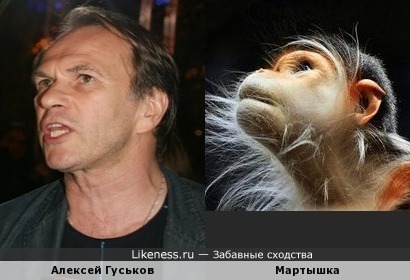 Актёр Алексей Гуськов и .....