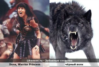 «Королева воинов Зена» в одном из кадров сериала напоминает хищного чёрного волка