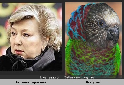 Татьяна Тарасова похожа на попугая