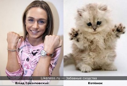 Влад Соколовский чем-то смахивает на котёнка