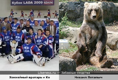 Сидячие позы хоккейного вратаря и Михаила Потапыча :-)