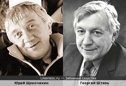 Юрий Щекочихин похож на Георгия Штиля
