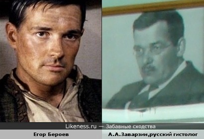 Егор Бероев похож на русского гистолога А.А.Заварзина