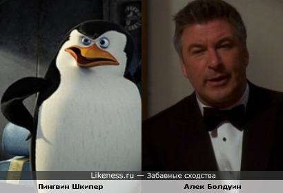 Пингвин Шкипер похож на Алека Болдуина