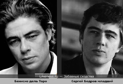 Бенисио дель торо похож на Сергея Бодрова младшего