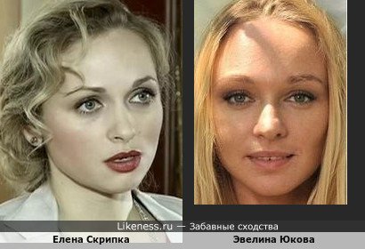 Елена Скрипка похожа на Эвелину Юкову