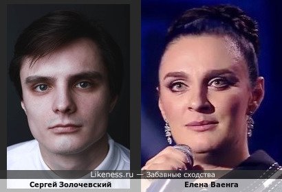 Сергей Золочевский похож на Елену Ваенга