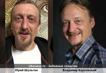 Юрий Шульган похож на Владимира Бурковского